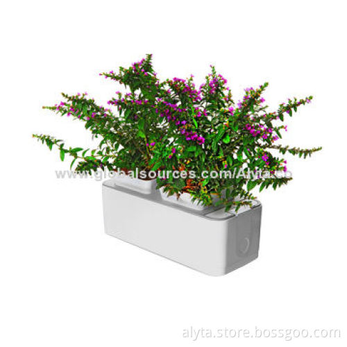 Intelligent control technology and planting techniques, smart mini garden